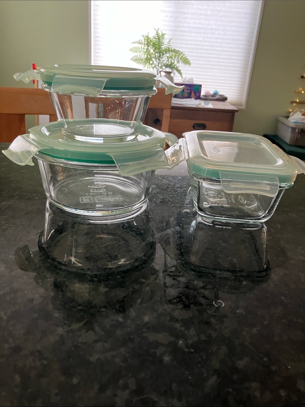 Oxo Glass Food Storage Set of 3 with Mint Green Lids
